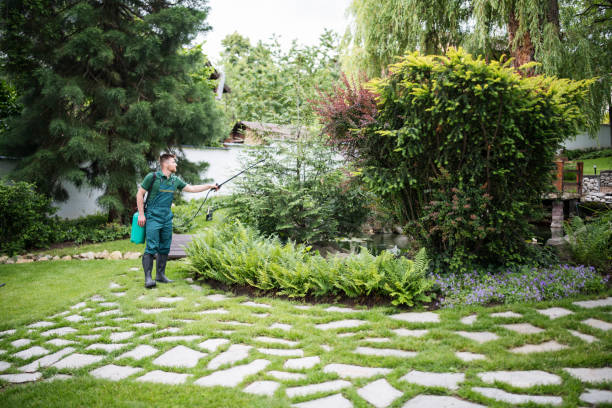 Reliable Brewerton, NY Tree Services Solutions